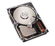 Ibm TS 2X32P0734 36GB U320 (90P1392)